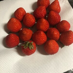 苺の冷蔵保存方法